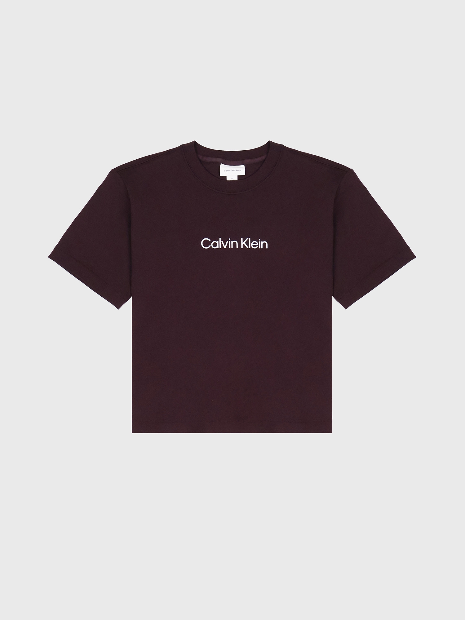 Футболка Calvin Klein Standard Logo Boxy Fit Crewneck T-Shirt Brown