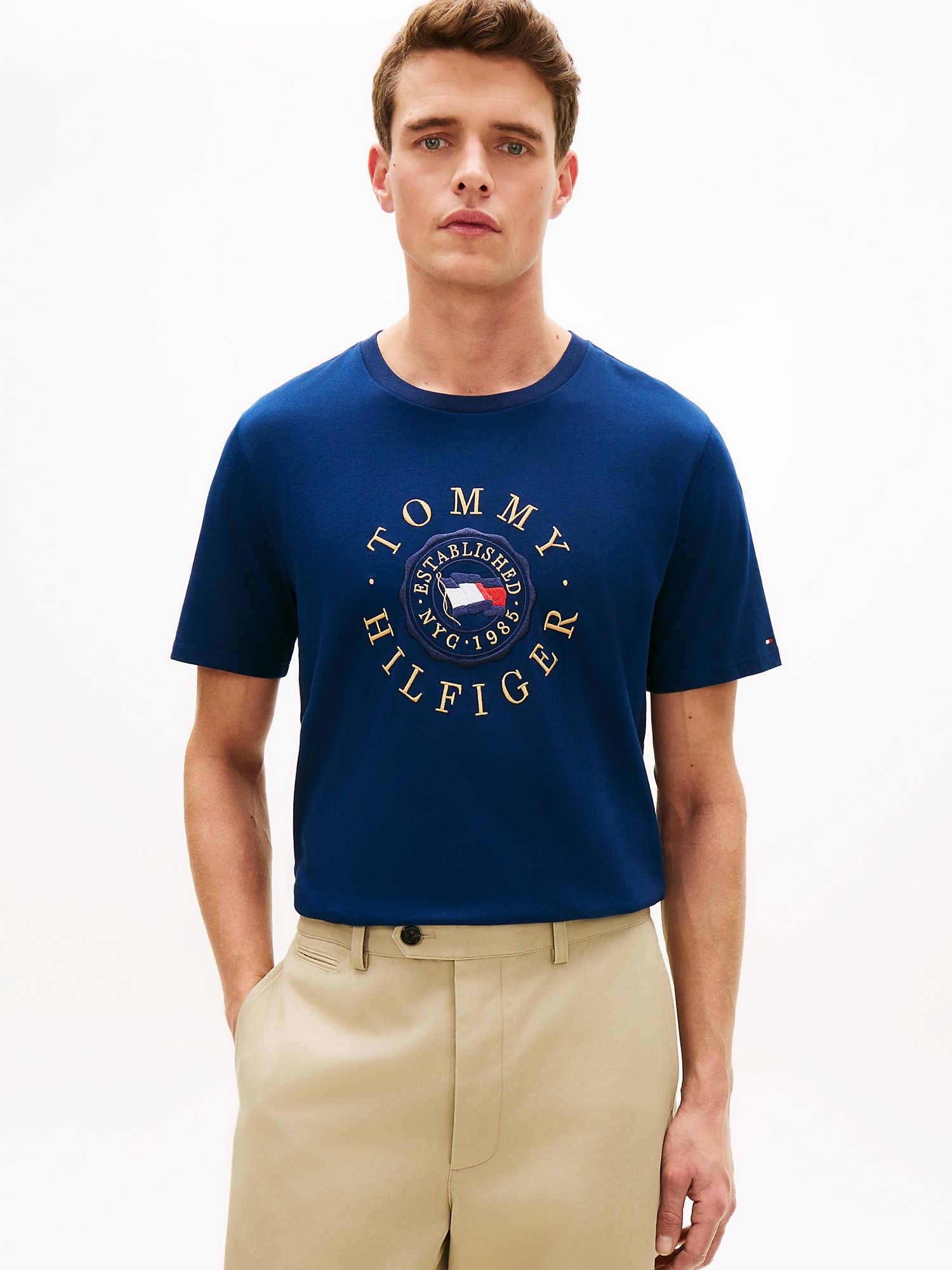 Футболка Tommy Hilfiger Circle Flag Logo Light Navy